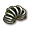 Sprungfeder