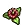 Stinkende Pflanzen