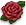 Valentinsblumen